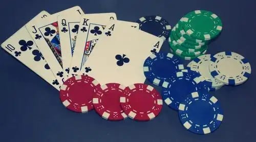 b1bet login